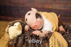 Reborn Baby Piglet, Reborn Animals, Reborn Dolls