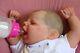Reborn Baby Sydney 7lbs Genuine Art Doll 20 Artist Of 11yrs Marie At Chickypies