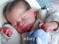 Reborn Baby Sabrina Hergarten Timothy By Shirley Jones Sugar Plum Nursery SOLE