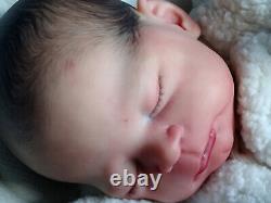 Reborn Baby Sabrina Hergarten Timothy By Shirley Jones Sugar Plum Nursery SOLE