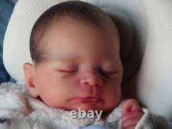 Reborn Baby Sabrina Hergarten Timothy By Shirley Jones Sugar Plum Nursery SOLE