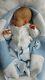 Reborn Baby Boy Doll Zendric Kit Sculpted By Dawn Mcleod Coa Limited Edition