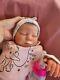 Reborn Baby Doll, See Video Realborn Sage 5lb 12oz Artist Of 11yrs, Boxed To Go