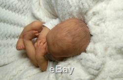 Reborn Collectable Baby doll art Newborn Art Levi (Brown) Boy or Girl