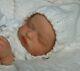 Reborn Collectable Baby Doll Art Newborn Art Rosalie Auer (charles) Fake Baby