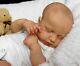 Reborn Collectable Baby Doll Art Newborn Artborn Lou Lou Le Infant Caspian
