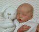 Reborn Collectable Baby Doll Art Newborn Chadwick Twin B Fake Baby