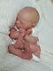 Reborn Collectable Baby Doll Art Newborn Rowan/jaycee Realborn