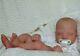 Reborn Collectable Baby Doll Art Newborn Silas/sarah Jane Fake Baby