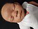 Reborn Doll Baby Kyle Pat Moulton Kit Retired Painted Ethnic Aa Lightly Rooted