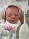 Reborn Doll Noa By Gudrun Legler Limited Edition- Amazing Condition, Coa