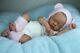 Reborn Doll Puppe Baby Sofia Grace Von Natalie Scholl. Limitiert