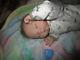 Reborn Doll Spencer By Bountiful Baby