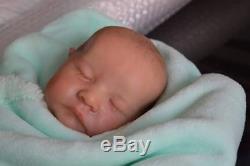 Reborn Levi Sculpt by Bonnie Brown Cassie Brace Resell Baby Doll