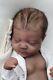 Reborn Realborn Johannah 20 Newborn Baby Girl By Mya Nikole Biracial/ Aa