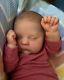 Reborn Realistic Dolls Baby Newborn Silicone Vinyl Doll Boy Body Lifelike Full