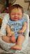 Reborn Silicone Susie Q Asleep By Bonnie Sieben Fbs Baby Boy Doll Elie Habibi