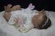Reborn Art Doll From The Journey Sculpt By Laura Lee Eagles