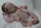 Reborn Baby / Art Doll From The Realborn Johannah Sleeping Sculpt