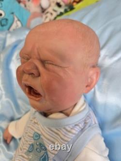 Reborn baby boy doll, Crier By Donna Rubert. Super Rare