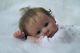 Reborn Baby Doll Trully Limited Sold Out (skulpt Sherry Rawn)
