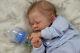 Reborn Baby Doll Zori By Dawn Mcleod (prompt Delivery)