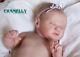 Reborn Baby Doll Sold Out Ltd Ed Americus By Laura Lee Eagles Lovely Full-body