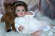 Reborn Baby Dolls Katherine Made From A Limited Set Tobiah By Laura Lee Eagles