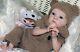 Reborn Baby Dolls Tink Made From Limited Out Kit Tink By Sculptor Bonnie Brown