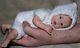 Reborn Baby Dolls Mini Lilly Made From Kit Lilly Loo By Sculptor Marita Winters