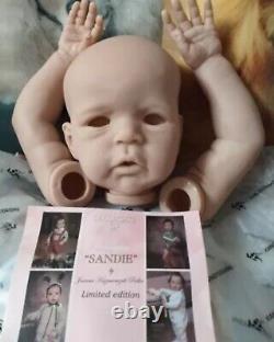 Reborn baby girl doll toddler Sandie