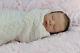 Reborn Newborn Limited Edition Baby Girl Doll Zoey By Ajpangela Jane Pennington