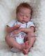 Silvia Creations Reborn Baby Doll, Limited Edition Sold Out Jayden Stunning