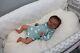 Sold Out Limited Edition Reborn Baby Mireya By Sheila Mrofka Made By Lena Smith