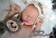 Sprungfromneverland Chase By Bonnie Brown Reborn Realborn Baby Doll New Boy
