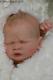 Stunning Reborn Ethan Russel Artful Babies Baby Boy Doll Tummy Plate