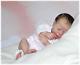 Sugar Plum Nursery Reborn Prototype Baby Girl Doll Charlize Betty Morel