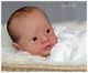 Sugar Plum Nursery Reborn Baby Boy Doll Moritz By Sabine Wegner