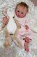 Saleblank Silcone Kit Holly By Angela Lewis Reborn Doll Baby