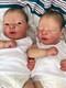 Shirley Jones Bountiful Baby Darren Awake And Asleep Reborn Babies Twins