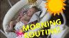 Silicone Baby Morning Routine Change Diaper Drinks Milk Bottle Reborn Baby Dolls All4reborns Com