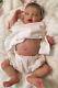 Sold Out- Reborn- Doll-beautiful Baby Indie Lle- Laura Lee Eagles