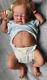 Sold Out Limited Edition Gracie Mae Reborn By Laura Lee Eagels (higher End Baby)