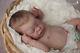 Solid Silicone Baby Girl Quinlynn Laura Lee Eagles Le 7/30 Reborn Art Doll