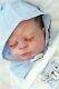 Studio-doll Baby Boy Reborn Timothy By Sabrina Hergarten 21 Inch