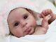 Studio-doll Baby Girl Reborn Sebby By Cassie Brace 21 Inch