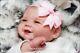 Studio-doll Baby Reborn Girlvivienne By Sandy Faber So Real