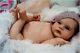 Studio-doll Baby Reborn Girl Tavie By Melody Hess Like Real Baby L/ed