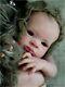 Studio-doll Baby Reborn Girl Lanny By Olga Auer Limited Edition So Real