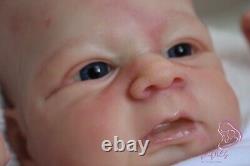 Stunning High Detail Reborn Elijah Kazmierkzac Artful Babies Baby Boy Doll